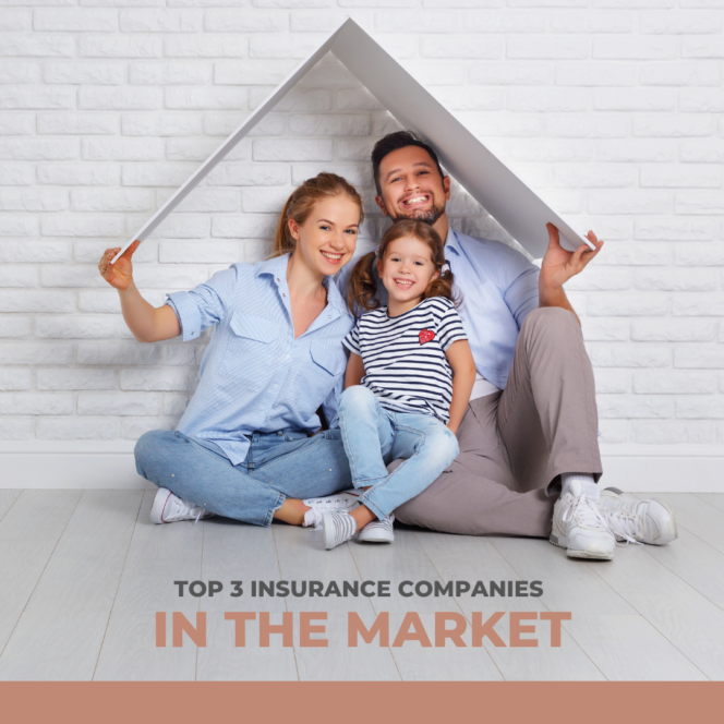 
					Top 3 Insurance Companies in the Market